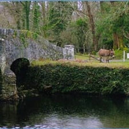 Hillcrest Farmhouse Otel Laune Bridge Dış mekan fotoğraf