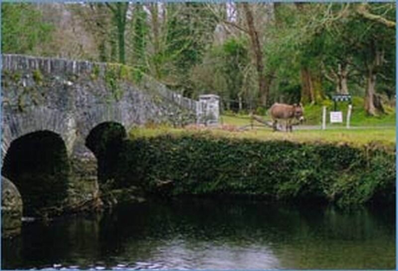 Hillcrest Farmhouse Otel Laune Bridge Dış mekan fotoğraf